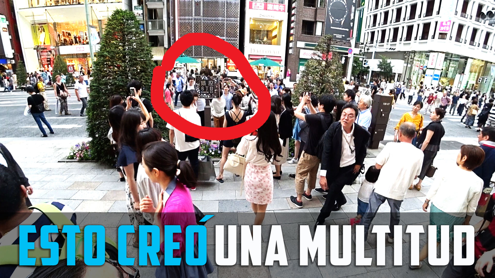 No creerás lo que causó una multitud en Japón.