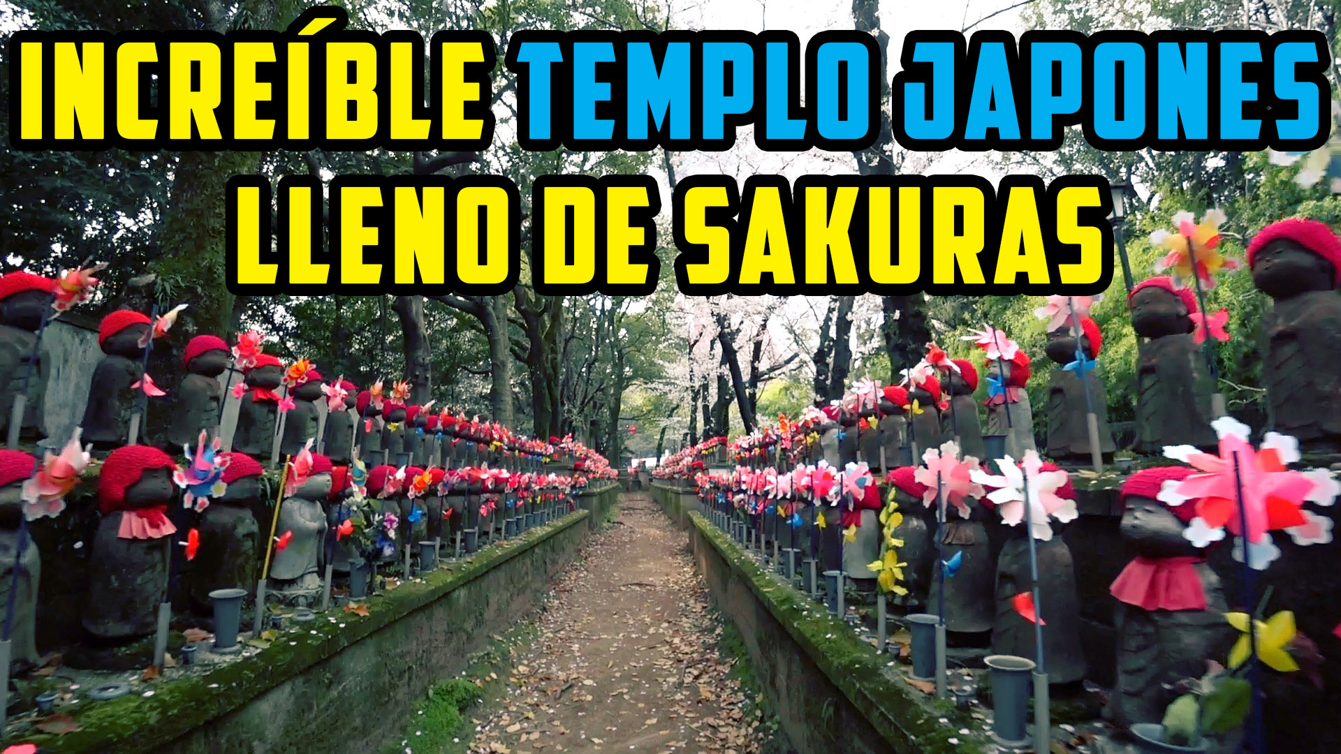 Increíble templo japonés lleno de Sakuras